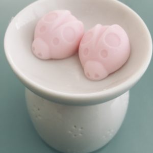 Mini fondant Pamplemousse rose et basilic