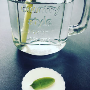 Fondant parfumé senteur Mojito à la cire végétale d'olive, parfum de Grasse et feuille de menthe séchée