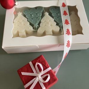 Box de Noël Forêt de sapins composée de 5 bougies pilier en cire végétale naturelle d'olive, mèche coton, avec ou sans colorant (mica vert)