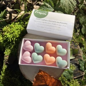 Mini coffret de 8 minis fondants parfumés à la cire végétale d'olive, parfum Figue-santal, Aiguilles de pin, feuilles de noyer et Forêt