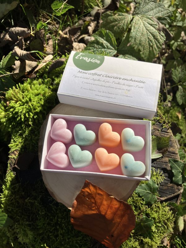 Mini coffret de 8 minis fondants parfumés à la cire végétale d'olive, parfum Figue-santal, Aiguilles de pin, feuilles de noyer et Forêt