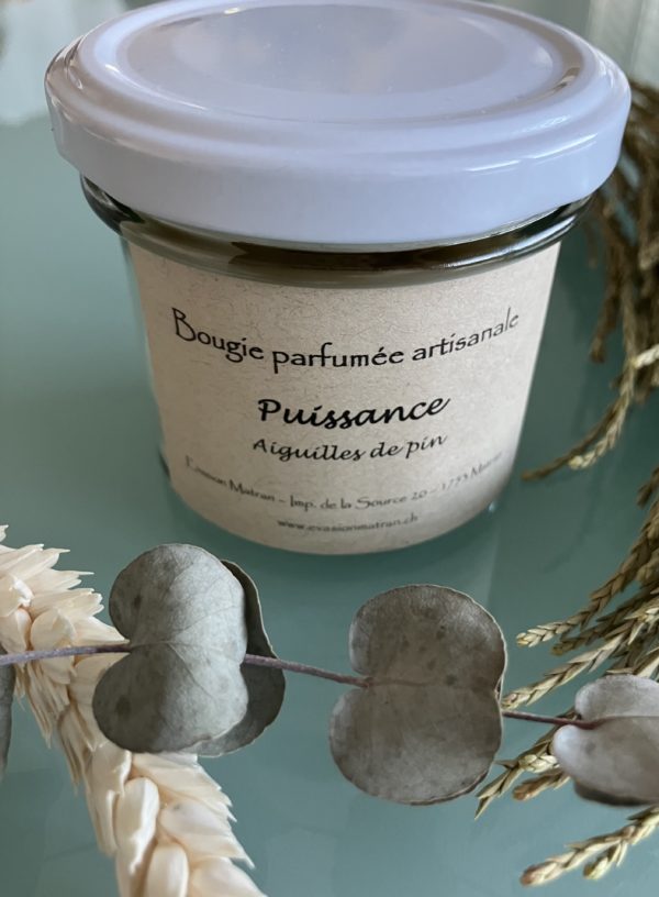 Bougie Nature Puissance en cire d'olive végétale naturelle, mèche ECO coton, parfum Aiguilles de pin