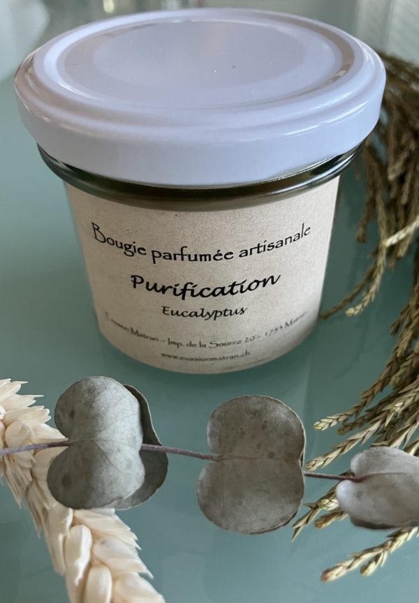 Bougie Nature Purification en cire d'olive végétale naturelle, mèche ECO coton, parfum Eucalyptus