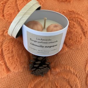 Bougie en cire d'olive, parfum Citrouille vanillée, mica orange dans une boîte métal avec couvercle imitation bois